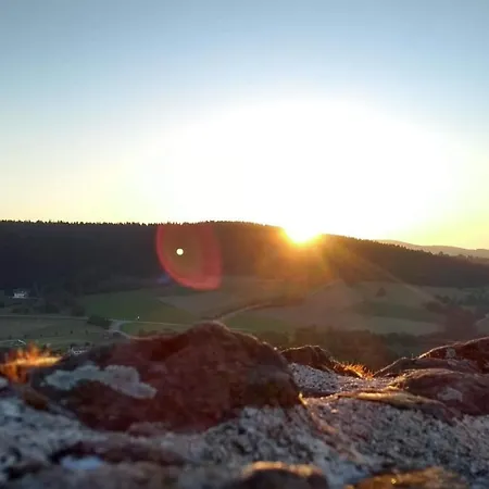 Pinzenhof -