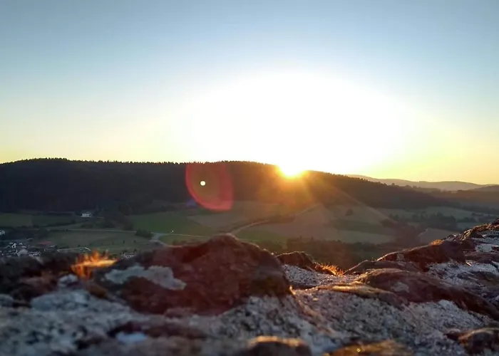 Pinzenhof -